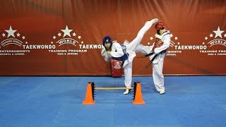 WORLD TAEKWONDO TRAINING PROGRAM- DVD.NO.15