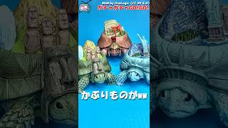 オススメ！超ゆるカワイイ空想生物爆誕！！ #ガチャガチャ #gachagacha #shorts