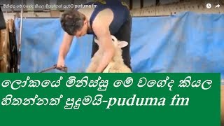 මිනිස්සු මේ වගේද කියල හිතන්නත් පුදුමයි-puduma fm|पुदुमा एफएम|من المذهل التفكير في أن الناس هكذا