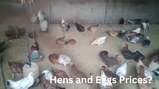poultry Farm l chicken egg farm ll automatic egg production farm l factory || @RahberWorldVolg0279