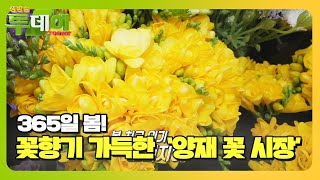 365일이 봄! 꽃향기 풀풀 나는 ‘양재 꽃 시장’ㅣ생방송 투데이(Live Today)ㅣSBS Story