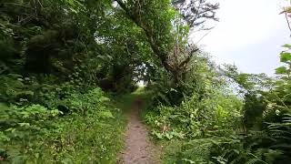 Part of Yurok Loop Trail.