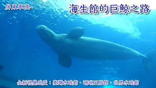 BiBi旅行者~屏東車城-國立海洋生物博物館(海生館)