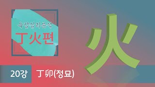 육갑심리분석 丁火편 -  20강 丁卯(정묘)