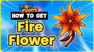 How To Easily Get Fire Flowers in Blox Fruits