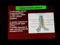 persian anatomy pericardium sa node av node surface anatomy of the heart پریکاردیوم و ضمائم