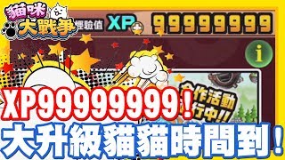 XP又刷到99999999啦!! 貓貓大升級時間又到啦!! | 你們推薦哪一隻貓貓升到50等呢!? - 手機遊戲 貓咪大戰爭《哲平》