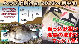 尺上連発【9尺で浅場の底釣り】マッシュ系エサで乗っ込み狙い底がデコボコで水深1ｍ前後のポイント、下エサトントン、へらぶな釣行記2023年4月中旬（第3週）下条川ダムでのヘラブナ釣り