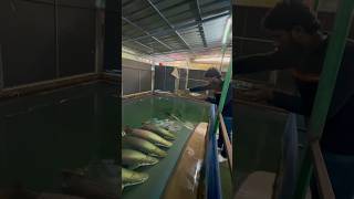 வெறும் 1 ரூபாய்க்கு நீங்க இந்த marine world-அ சுத்திபாக்கலாம்|world largest public Aquarium #shorts