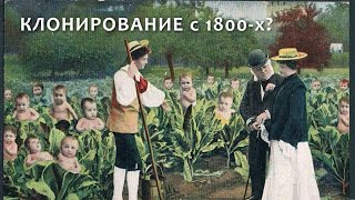 Клонирование с 1800-х годов? Тайны репопуляционных открыток