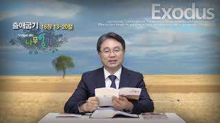 [데일리큐티:나무향기] 2021.06.06 - 음식은 먹을 만큼만!  - 출애굽기 16장 13 ~ 20절