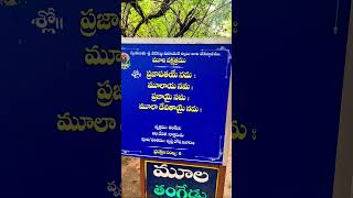 #ఈ నక్షత్రం వాళ్లు చెప్పవలసిన శ్లోకం? 🌳🌳🌳👹🧿