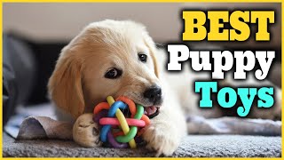 Best Puppy Toys 2022 [Top 5 Picks]