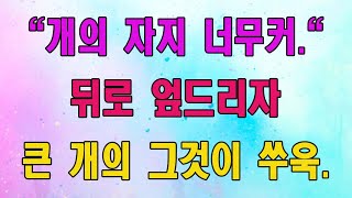 오늘 기분이 정말 좋아 보이네요!