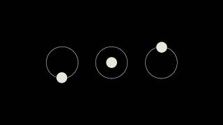 Simple Circles and Dots Animation