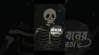 ভেবে দেখুন আপনি এখন যেখানে আছেন পরবর্তী প্রজন্ম কি মনে রাখবে আপনাকে? #life #reality #future