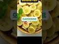 unbelievable banana fact shorts gardening fruits