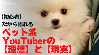 【特別編】【初心者】が語る【ペット系YouTuber】の理想と現実・【収益化】～【ポメラニアン】飼主の願い～