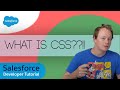 Salesforce LWC Master Class (Ep.4) - What is CSS (Cascading Style Sheets)?