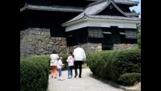 Matsue Castle (smaller file)