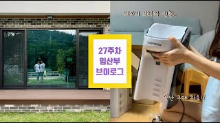 [VLOG]임산부 브이로그|27주차|슬슬 준비하는 육아용품(베이비 브레짜 신형, 베이비 플러스, 육아템, 오리불고기, 한방백숙, 물회)