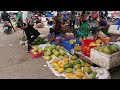 visit the local market in rural vietnam vietnam village