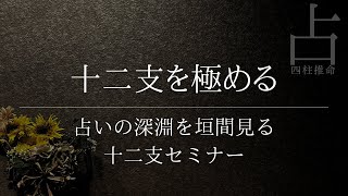 十二支がやっと理解できる