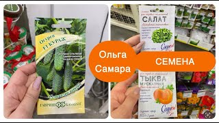 Лемана ПРО 🏡 Новая МАРКА семян🌱Большой выбор саженцев👍🏻 Февраль, 2025