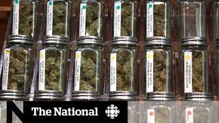 Weed strains: Marijuana marketing - spin or science?