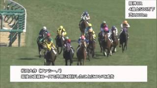 2016年3月19日・20日阪神競馬制裁事象