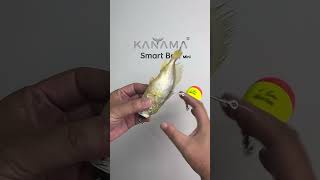 🎣 Kanama Smart Bait Mini- Revive  little dead bait fish and easily catch big fish.