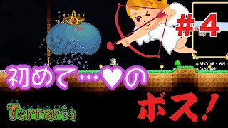 【初見実況】戦いに備えて収集探検！テラリア 第4夜【Terraria ver.1.4 日本語化MOD導入版】