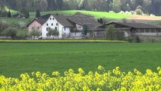 Büsserach das schönste Dorf im Lüsseltal