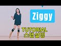 Ziggy Line Dance/TUTORIAL/Step Instructions/Beginner Line Dance