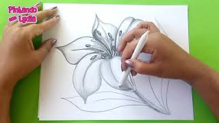 Dibujos A Lápiz Como Dibujar Una Flor / How To Draw A Flower