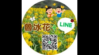 北科大EMBA桃資財班 - 謝謝你的愛，魯冰花+Line