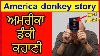 USA ki donkey story | ਕਿਵੇਂ ਲੱਗਦੀ ਹੈ America ਦੀ Donkey | donkey to USA | PANAMA 🇵🇦 JUNGLE .