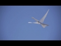 tb30 ornithopter glide test 羽ばたき飛行機