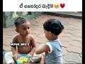 සහෝදර බැඳීම