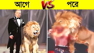 সকলের সামনে এই সিংহটি তার মালিককে খেয়ে ফেলল..! 😱 || Pet Animals Who Eat Their Owners