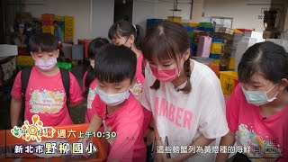 【台灣囡仔讚】｜野柳國小｜學校將海洋休閒與海洋復育的內容結合