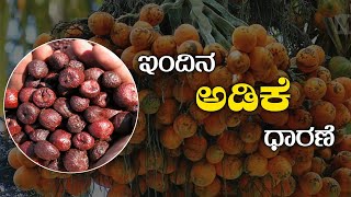 Arecanut price today, Rashi price today, Coffee, Pepper, Rubber Mindi Price, ಅಡಿಕೆ ಧಾರಣೆ, ಅಡಿಕೆ ರೇಟ್