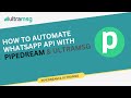 How to Automate WhatsApp API with pipedream + UltraMsg