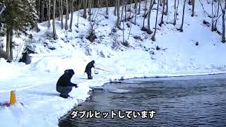 朝イチから大型サイズの頂鱒やロックトラウトが連発しています／あいづフィッシングエリア