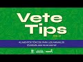 Vetetips Alimentos tóxicos para los animales