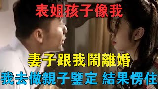 表姐孩子像我,妻子跟我鬧離婚,我去做親子鑑定，結果愣住 #情感故事 #兩性情感 #深夜故事