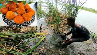 FIZ COXINHA COM O QUE ELE PEGOU DEBAIXO DESSES MATOS! Nunca tinha visto isso antes