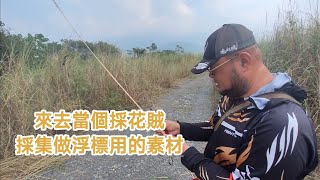 【浮標之章】帶大家來去採集浮標素材