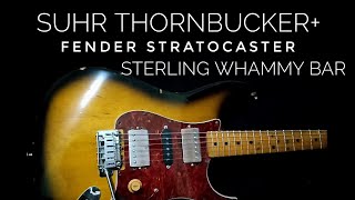 SUHR THORNBUCKER+ in my STRAT