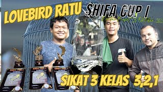 LOVEBIRD RATU // BERIKAN SANG OWNER KEJUTAN DI PIALA SHIVA CUP I RANTAU PRAPAT